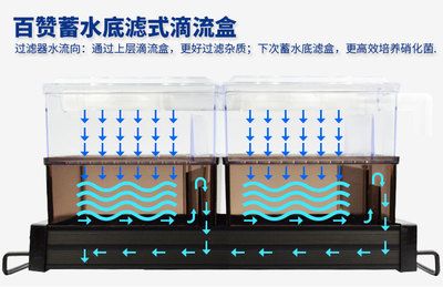 底濾魚缸的基本結(jié)構(gòu)：底濾魚缸底濾魚缸的基本構(gòu)造及其各個(gè)部分作用