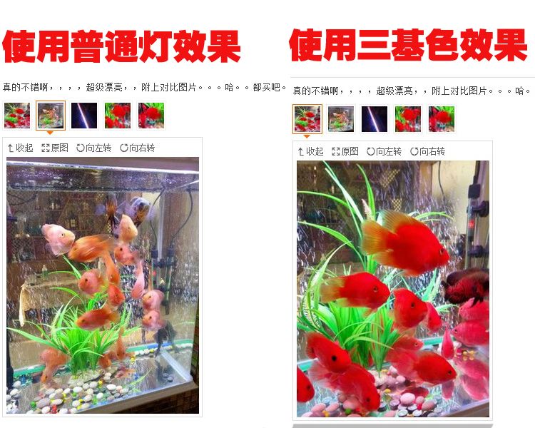 魚缸燈光學(xué)原理了解魚缸燈的工作原理了解魚缸燈的工作原理：紅色魚缸燈光學(xué)原理了解魚缸燈的工作原理了解魚缸燈的工作原理 魚缸百科 第1張