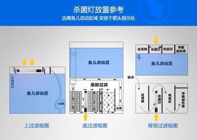 魚缸殺菌燈的安裝位置對于其功效有著重要影響的影響：關(guān)于魚缸殺菌燈安裝位置的建議