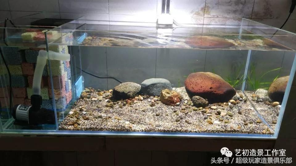 魚(yú)缸底濾的維護(hù)技巧魚(yú)缸底濾的維護(hù)技巧魚(yú)缸底濾的維護(hù)技巧：底濾魚(yú)缸水質(zhì)的管理 魚(yú)缸百科 第1張