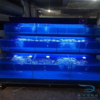 海鮮魚缸的維護(hù)秘籍：海水魚缸的維護(hù)秘籍