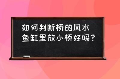 風(fēng)水學(xué)中適合養(yǎng)魚缸的人群：風(fēng)水學(xué)中的魚缸擺放技巧 魚缸百科