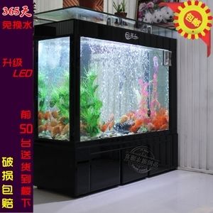 海洋生態(tài)魚缸設計原理海洋生態(tài)魚缸市場趨勢分析海洋生態(tài)魚缸設計：海洋生態(tài)魚缸的設計原理 魚缸百科 第3張