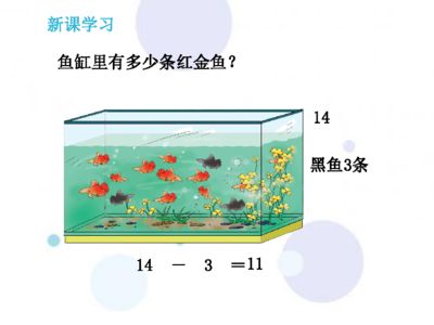 黑魚與魚缸大小的關(guān)系：如何選擇魚缸尺寸 魚缸百科 第3張