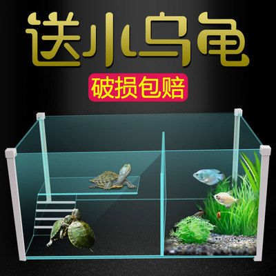 觀賞魚混養(yǎng)觀賞魚需要注意的誤區(qū)在混養(yǎng)觀賞魚的重要因素：混養(yǎng)觀賞魚混養(yǎng)觀賞魚需要注意什么 魚缸百科 第3張