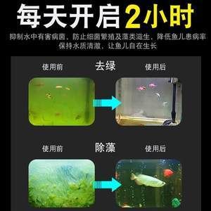 底濾魚缸殺菌燈的放置位置對(duì)于水族箱的健康至關(guān)重要：底濾魚缸殺菌燈放哪里最好