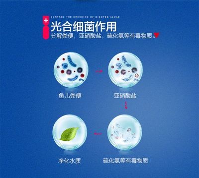 光合細(xì)菌在魚缸生態(tài)系統(tǒng)中的作用：光合細(xì)菌在魚缸中的作用與分類與特性 魚缸百科 第4張