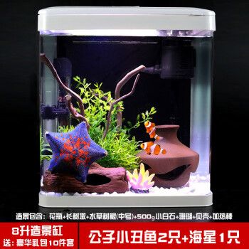 海水生態(tài)魚缸的使用年限受多種因素影響：如何提高海水生態(tài)魚缸的使用壽命 魚缸百科 第4張