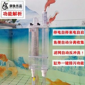 給魚缸打孔需要注意哪些事項(xiàng)：給魚缸打孔時(shí)需要注意以下幾個(gè)重要事項(xiàng) 魚缸百科 第1張