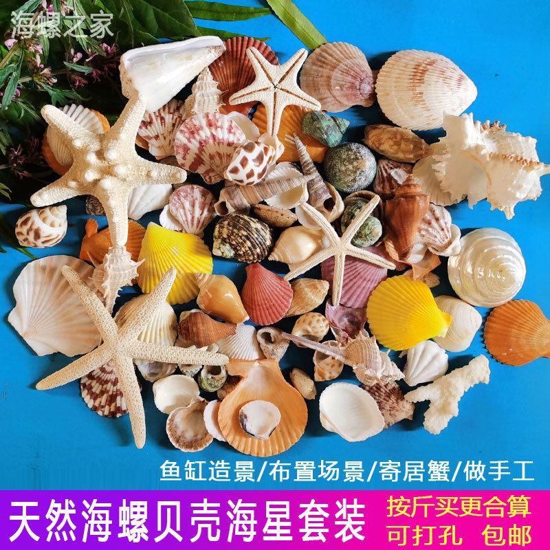 海星在魚缸中消失需要注意以下幾點以避免類似問題的發(fā)生：海星在魚缸中消失可能有以下幾個原因 魚缸百科 第3張