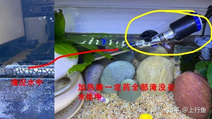 魚缸加熱棒的正確使用方法：底濾魚缸加熱棒的正確使用方法包括以下幾個(gè)方面發(fā)生