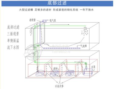 底缸過(guò)濾魚(yú)缸過(guò)濾系統(tǒng)的設(shè)計(jì)圖是一類專門(mén)用于指導(dǎo)魚(yú)缸過(guò)濾系統(tǒng)：底缸過(guò)濾魚(yú)缸設(shè)計(jì)圖的設(shè)計(jì)