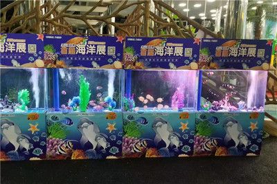 海星魚缸是一種適合養(yǎng)殖海星的容器，揭秘海星魚缸的養(yǎng)殖建議：揭秘海星魚缸與淡水養(yǎng)殖 魚缸百科 第3張