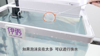 底濾魚缸怎么換水 魚缸百科 第3張