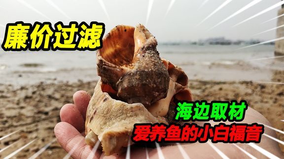 自制魚缸過濾材料的diy教程對魚缸過濾材料的diy教程：紅磚與魚缸過濾材料的對比 魚缸百科 第2張