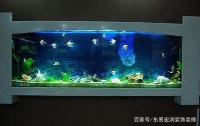 魚缸形狀的風(fēng)水意義：風(fēng)水魚缸形狀及其在風(fēng)水上的風(fēng)水意義及風(fēng)水意義