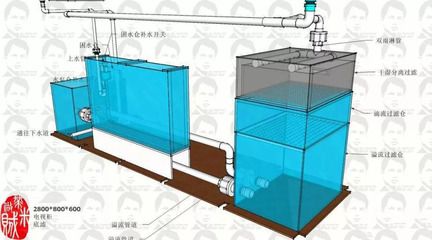 魚缸底濾的歷史演變探索魚缸底濾的設(shè)計原理示意圖高清：底濾魚缸的維護與故障排除 魚缸百科 第1張