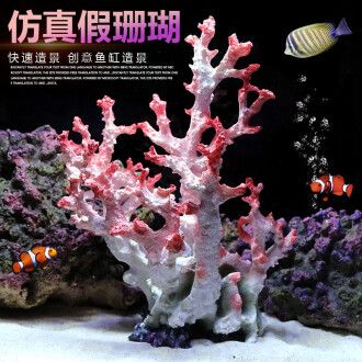 2024年海水魚缸品牌排行榜：水族箱材質探秘水族箱材質探秘：2024年海水魚缸品牌排行榜 魚缸百科 第4張