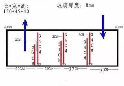 底濾魚缸的尺寸圖可以幫助您更好地規(guī)劃和設(shè)計您的水族箱：底濾魚缸尺寸圖及相關(guān)設(shè)計要點