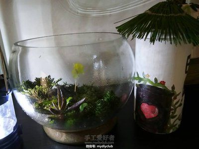 花盆改魚缸的藝術(shù)與技巧：花盆改造成魚缸的藝術(shù)與技巧 魚缸百科 第1張