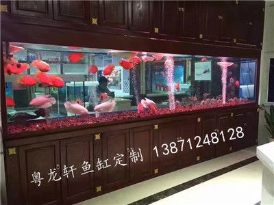 漢川市魚多多水族金魚店提供魚缸銷售相關(guān)服務(wù)：漢川市有哪些賣魚缸的店鋪？ 魚缸百科 第1張