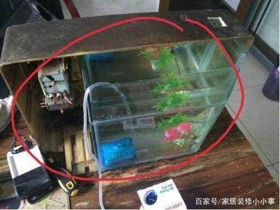 魚缸放在電視機(jī)旁邊合適嗎？：放魚缸在電視機(jī)旁邊并不合適，原因如下：放魚缸并不合適 魚缸百科 第1張