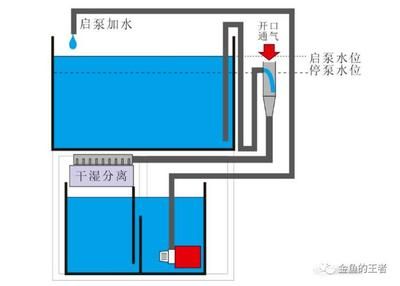 魚缸虹吸水循環(huán)的設(shè)計(jì)優(yōu)化：虹吸水循環(huán)魚缸的設(shè)計(jì)優(yōu)化 魚缸百科 第2張