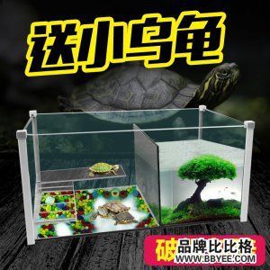 水族箱行業(yè)知名品牌：中山市創(chuàng)星電器有限公司],水族箱行業(yè)知名品牌 魚缸百科 第1張