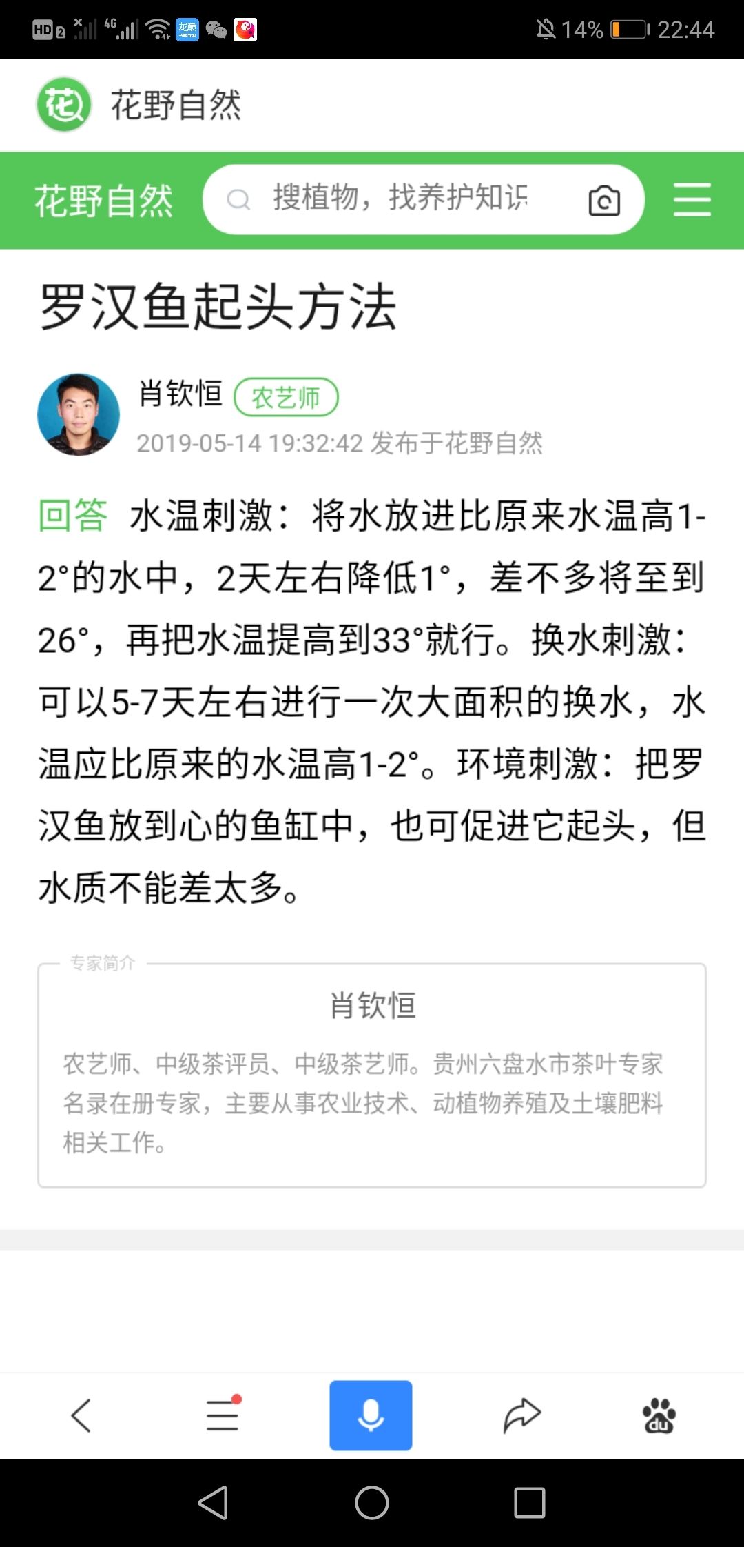 方法看反了還行，往事并不如煙評論：主要是基因：基因，亞然kt1fx 觀賞魚論壇