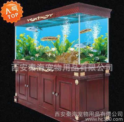 魚缸十大品牌排行榜前十名魚缸品牌排行榜前十名：高端魚缸品牌推薦