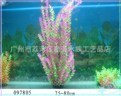 魚缸造景批發(fā)市場：廣州魚缸造景批發(fā)市場 魚缸百科 第3張