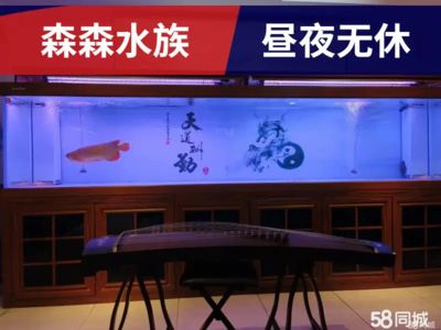 海鮮魚缸消毒方法：海洋生物學(xué)家眼中的魚缸消毒海洋生物學(xué)家眼中的魚缸消毒方法 魚缸百科 第4張