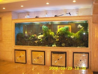 觀賞魚缸水族箱魚缸批發(fā)市場(chǎng)如何打造個(gè)性化魚缸景觀：如何批發(fā)水族箱魚缸？