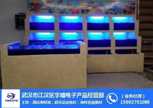 武漢魚缸選購指南：武漢花鳥市場的魚缸選購指南 魚缸百科 第3張