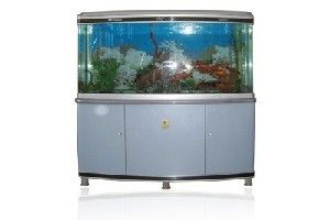 廣興水族魚缸工藝廠的使用體驗(yàn)：廣興水族魚缸工藝廠[需手動(dòng)填充]廣興水族魚缸工藝廠的使用體驗(yàn) 魚缸百科 第3張