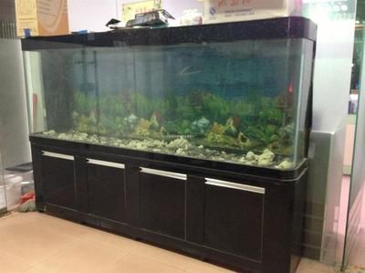 廣東魚缸品牌十大魚缸品牌排行榜魚缸品牌排行榜前十名：廣東魚缸十大品牌大全 魚缸百科 第3張