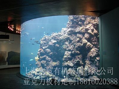 弧形魚缸和方形魚缸的區(qū)別：圓形魚缸對魚的影響 魚缸百科 第1張