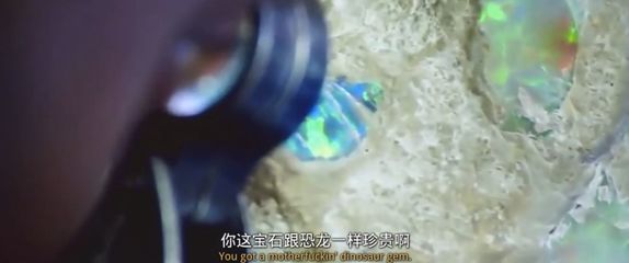 瘋狂的石頭品牌魚(yú)缸水泵的選擇指南：養(yǎng)魚(yú)新手入門(mén)指南魚(yú)缸水泵選擇指南魚(yú)缸水泵的選擇指南 魚(yú)缸百科 第2張