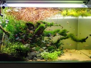 海爾芙拉魚缸的安裝視頻：海爾芙拉魚缸安裝教程 魚缸百科 第4張