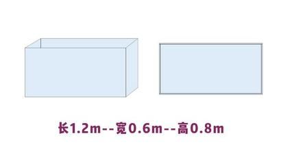 畫(huà)法幾何魚(yú)缸的尺寸計(jì)算：個(gè)性化魚(yú)缸設(shè)計(jì)指南對(duì)于魚(yú)缸的尺寸計(jì)算方法和計(jì)算方法