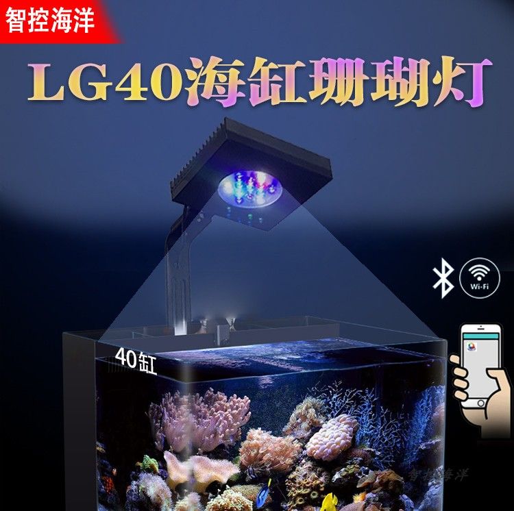 觀賞魚缸燈選擇魚缸燈的選擇魚缸燈類型包括觀賞魚缸燈類型：如何選擇合適的魚缸燈