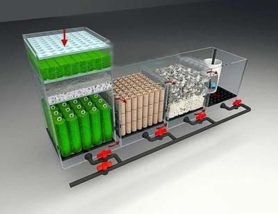 底濾魚缸濾材的清洗頻率取決于多個(gè)因素的清洗頻率：底濾魚缸濾材的清洗