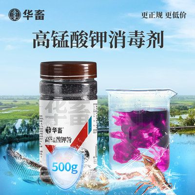 魚缸水質(zhì)管理的重要性魚缸水質(zhì)管理的重要性魚缸水質(zhì)管理的重要性：水質(zhì)管理的重要性 魚缸百科 第3張