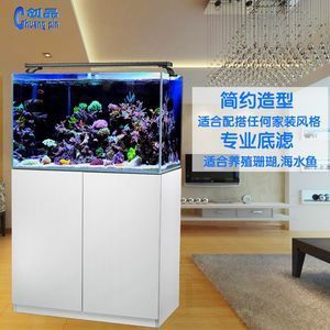 海魚的飼養(yǎng)技巧：海水魚養(yǎng)護(hù)技巧想要成功養(yǎng)活海水魚需要注意的是海水魚