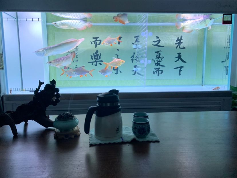 由于最小的金龍被咬的夠慘，于是隔起來養(yǎng)傷：我也想要魚，就是太遠(yuǎn)了 觀賞魚論壇 第1張