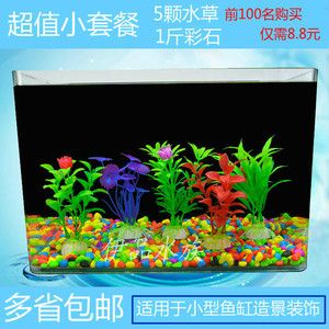 適合淡水魚缸的水草有哪些？：適合淡水魚缸的水草 魚缸百科 第3張