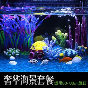 生態(tài)魚缸與海景魚缸的區(qū)別：海景魚缸與生態(tài)魚缸的養(yǎng)護(hù)技巧養(yǎng)護(hù)技巧養(yǎng)護(hù)生態(tài)魚缸