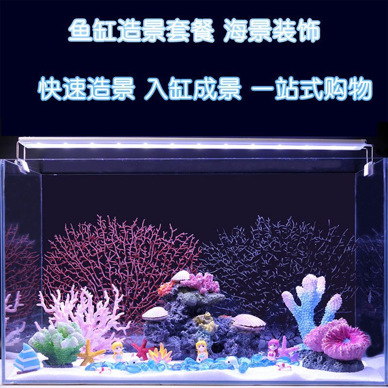 生態(tài)魚缸與海景魚缸的區(qū)別：海景魚缸與生態(tài)魚缸的養(yǎng)護(hù)技巧養(yǎng)護(hù)技巧養(yǎng)護(hù)生態(tài)魚缸 魚缸百科 第4張