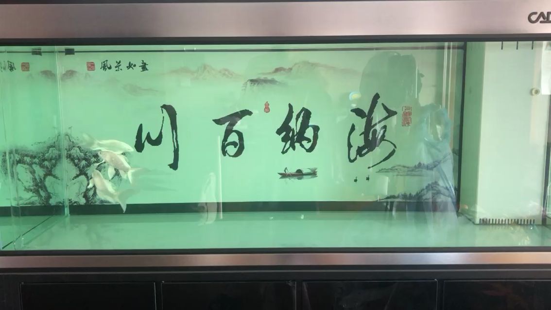 歷時半個月的開缸養(yǎng)水，終于搬家了：歷時半個月的開缸養(yǎng)水 觀賞魚論壇