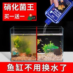 反硝化細(xì)菌在魚缸中的作用有哪些？：反硝化細(xì)菌在魚缸中的作用